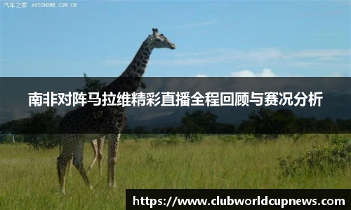 世预赛买球